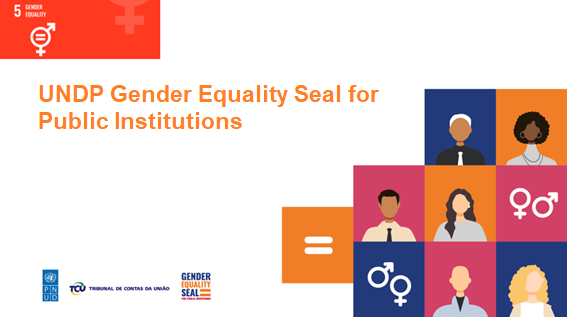 undp GENDER_en.png